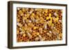 Working Bees on Honeycells-mady70-Framed Photographic Print