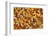 Working Bees on Honeycells-mady70-Framed Photographic Print