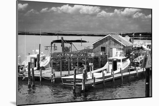 Working Boats-Alan Hausenflock-Mounted Photographic Print