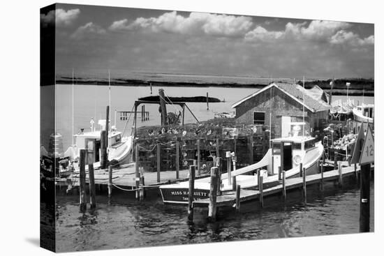 Working Boats-Alan Hausenflock-Stretched Canvas