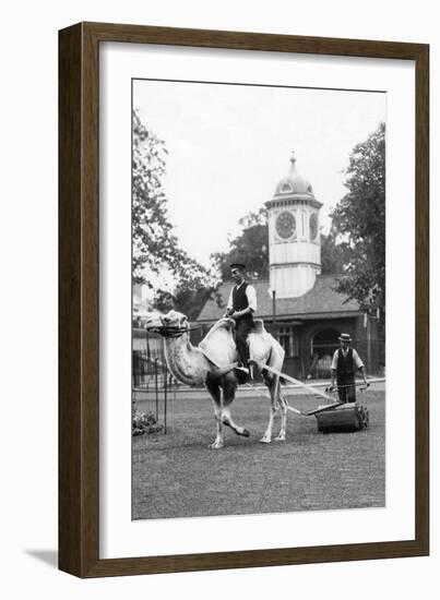 Working Camel, London-null-Framed Art Print