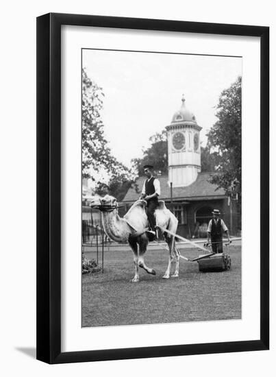 Working Camel, London-null-Framed Art Print