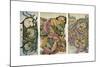 Working Drawings by William Morris (1834-189), 1934-William Morris-Mounted Giclee Print