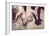 Working Hands-soupstock-Framed Photographic Print