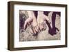 Working Hands-soupstock-Framed Photographic Print