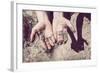 Working Hands-soupstock-Framed Photographic Print