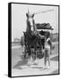 Working Horse Lunch-null-Framed Stretched Canvas