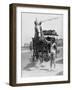 Working Horse Lunch-null-Framed Photographic Print