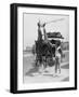 Working Horse Lunch-null-Framed Photographic Print