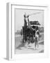 Working Horse Lunch-null-Framed Photographic Print