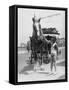 Working Horse Lunch-null-Framed Stretched Canvas