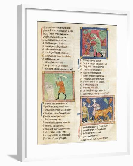 Working in the Months of September, October, November, Miniature from Breviary of Love-Matfre Ermengau-Framed Giclee Print