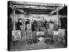 Working with Bristles in a Warehouse, London, 1938-null-Stretched Canvas