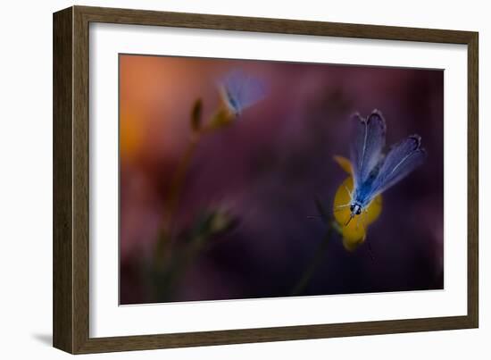 Working with Partners-Antonio Grambone-Framed Photographic Print