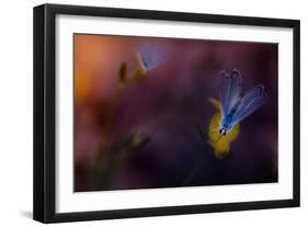 Working with Partners-Antonio Grambone-Framed Photographic Print