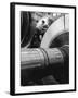 Workman on Large Wheel That Looks Like Fan, at General Electric Laboratory-Alfred Eisenstaedt-Framed Photographic Print