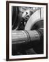 Workman on Large Wheel That Looks Like Fan, at General Electric Laboratory-Alfred Eisenstaedt-Framed Photographic Print