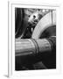 Workman on Large Wheel That Looks Like Fan, at General Electric Laboratory-Alfred Eisenstaedt-Framed Photographic Print