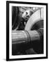 Workman on Large Wheel That Looks Like Fan, at General Electric Laboratory-Alfred Eisenstaedt-Framed Photographic Print