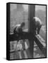 Workmen Attaching Steel Beams High Above Street During Construction of Manhattan Company Building-Arthur Gerlach-Framed Stretched Canvas
