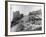 Workmen Clearing Rubble from Ruins of 6th Century Monte Cassino between Allies and Germans in WWII-Alfred Eisenstaedt-Framed Photographic Print