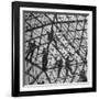 Workmen Covering Top of the Geodesic Dome, Ford Rotunda Outside their River Rouge Plant-Howard Sochurek-Framed Photographic Print