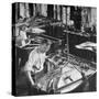 Workmen Installing Steel String Frames Into Grand Piano Cabinets at Steinway Piano Factory-Margaret Bourke-White-Stretched Canvas