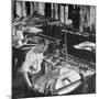 Workmen Installing Steel String Frames Into Grand Piano Cabinets at Steinway Piano Factory-Margaret Bourke-White-Mounted Photographic Print