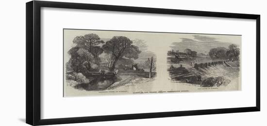 Works of the Thames Angling Preservation Society-null-Framed Giclee Print