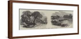 Works of the Thames Angling Preservation Society-null-Framed Giclee Print