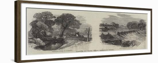 Works of the Thames Angling Preservation Society-null-Framed Giclee Print