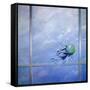 World Breaking Glass-Lincoln Seligman-Framed Stretched Canvas