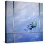 World Breaking Glass-Lincoln Seligman-Stretched Canvas