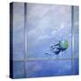 World Breaking Glass-Lincoln Seligman-Stretched Canvas