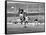 World Cup, 1966-null-Framed Stretched Canvas