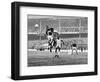 World Cup, 1966-null-Framed Giclee Print