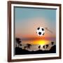 World Cup in Brazil-Irina Solatges-Framed Art Print