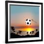 World Cup in Brazil-Irina Solatges-Framed Art Print