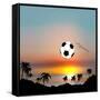 World Cup in Brazil-Irina Solatges-Framed Stretched Canvas