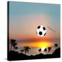 World Cup in Brazil-Irina Solatges-Stretched Canvas