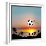 World Cup in Brazil-Irina Solatges-Framed Art Print