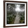 World Fair of 1900, Paris, the Gallery of Machines-Leon, Levy et Fils-Framed Photographic Print