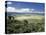 World Famous Ngorongoro Crater, 102-Sq Mile Crater Floor Is Wonderful Wildlife Spectacle, Tanzania-Nigel Pavitt-Stretched Canvas