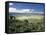 World Famous Ngorongoro Crater, 102-Sq Mile Crater Floor Is Wonderful Wildlife Spectacle, Tanzania-Nigel Pavitt-Framed Stretched Canvas