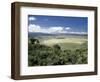 World Famous Ngorongoro Crater, 102-Sq Mile Crater Floor Is Wonderful Wildlife Spectacle, Tanzania-Nigel Pavitt-Framed Photographic Print