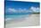 World famous white sand on Grace Bay beach, Providenciales, Turks and Caicos, Caribbean-Michael Runkel-Stretched Canvas