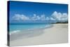 World famous white sand on Grace Bay beach, Providenciales, Turks and Caicos, Caribbean-Michael Runkel-Stretched Canvas