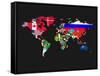 World Map Contry Flags 1-NaxArt-Framed Stretched Canvas