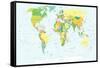 World Map - Highly Detailed Vector Illustration-dikobraziy-Framed Stretched Canvas