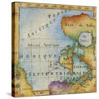 World Map I-Liz Jardine-Stretched Canvas